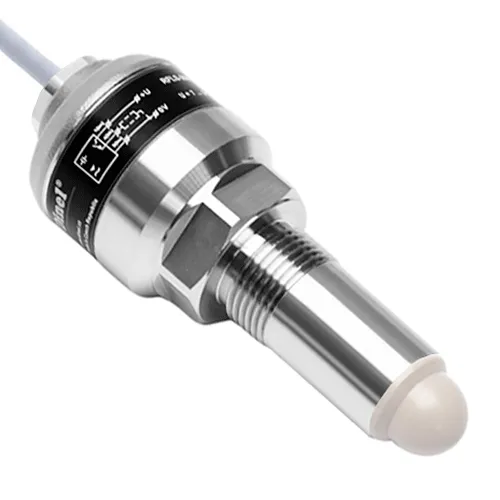 Датчик уровня ёмкостный RFLS-35XiM-11E-G3/4-P-B-K2
