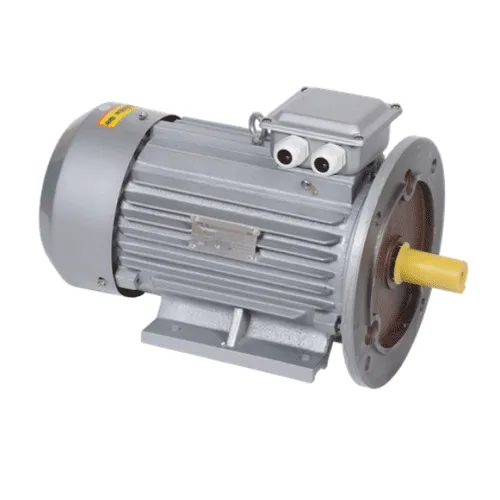 Электродвигатель трёхфазный DRV100-S4-003-0-1520