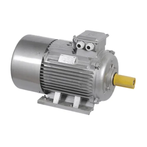 Электродвигатель трёхфазный AIS200-L2-030-0-3010