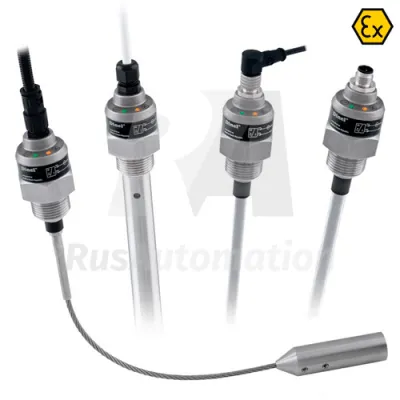 Уровнемер ёмкостный DLM-35N-20-G1-I-C-E0600 фото