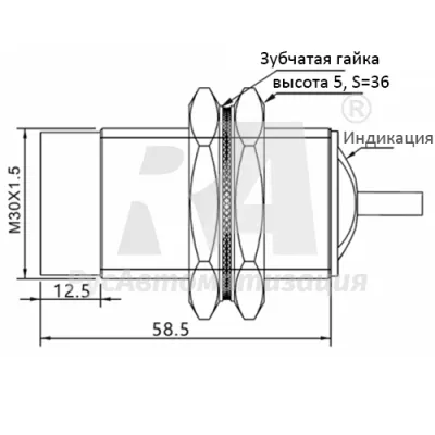 Габаритные размеры TLN30-25PC фото