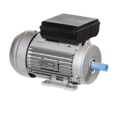 Электродвигатель однофазный ONP080-C2-002-2-3010 фото