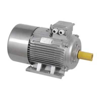 Электродвигатель трёхфазный AIS200-L2-030-0-3010 фото